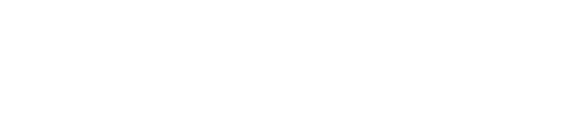 Bison 73 full logo
